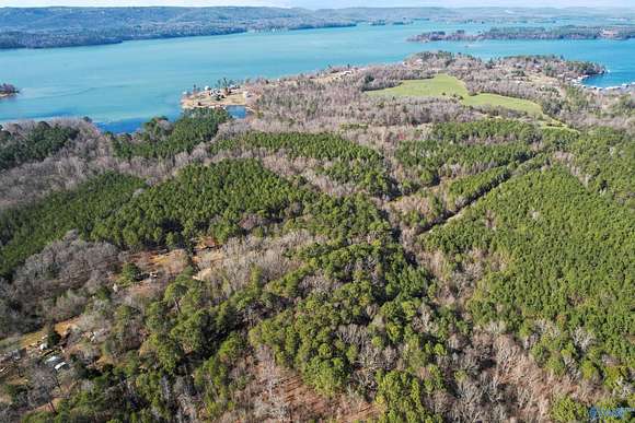 20.6 Acres of Land for Sale in Langston, Alabama