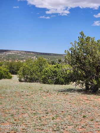 10.3 Acres of Recreational Land for Sale in Show Low, Arizona