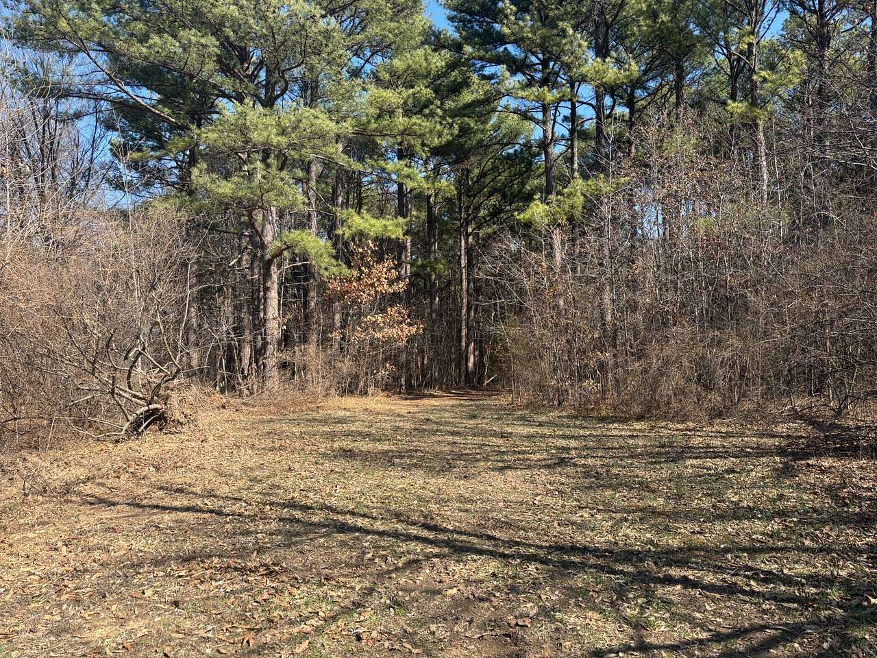 70 Acres of Recreational Land for Sale in Fairfield, Illinois