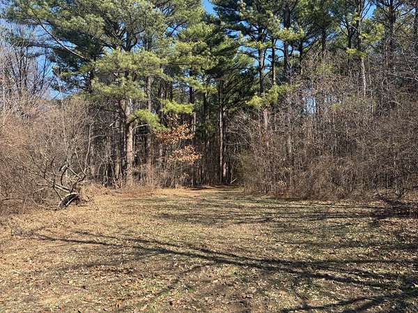 70 Acres of Recreational Land for Sale in Fairfield, Illinois