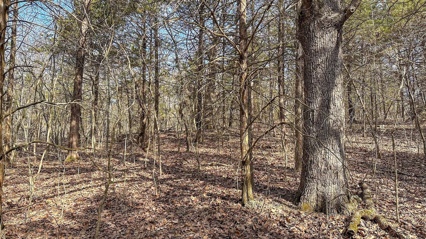 2.69 Acres of Residential Land for Sale in Ava, Missouri - LandSearch