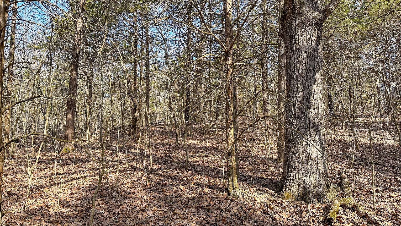 2.69 Acres of Residential Land for Sale in Ava, Missouri