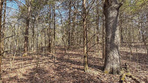 2.69 Acres of Residential Land for Sale in Ava, Missouri