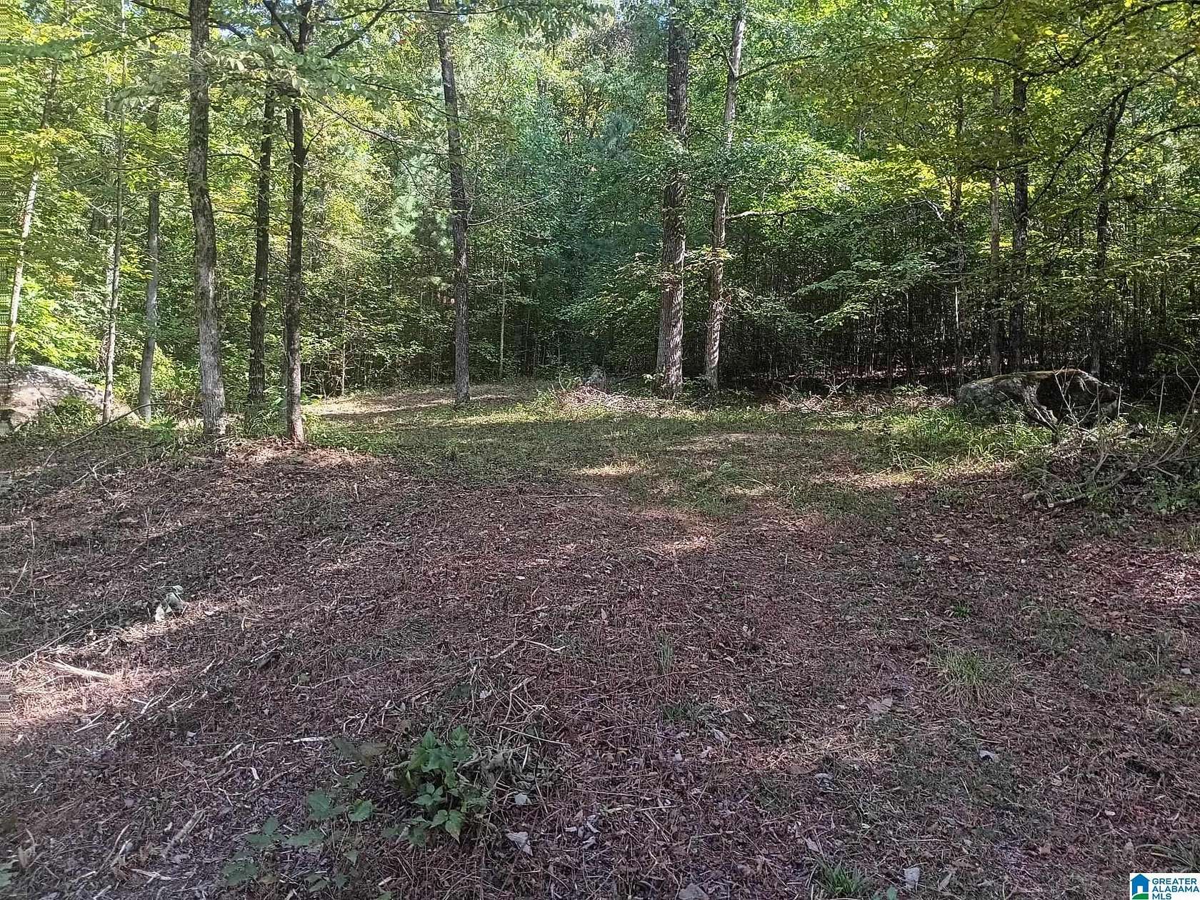 3.2 Acres of Residential Land for Sale in Warrior, Alabama