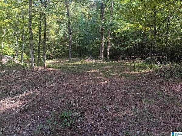 3.2 Acres of Residential Land for Sale in Warrior, Alabama