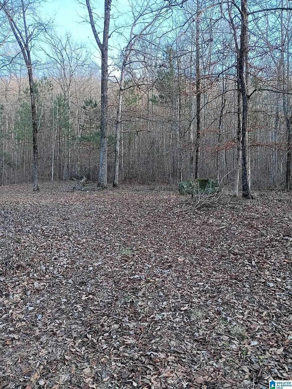 3.2 Acres of Residential Land for Sale in Warrior, Alabama