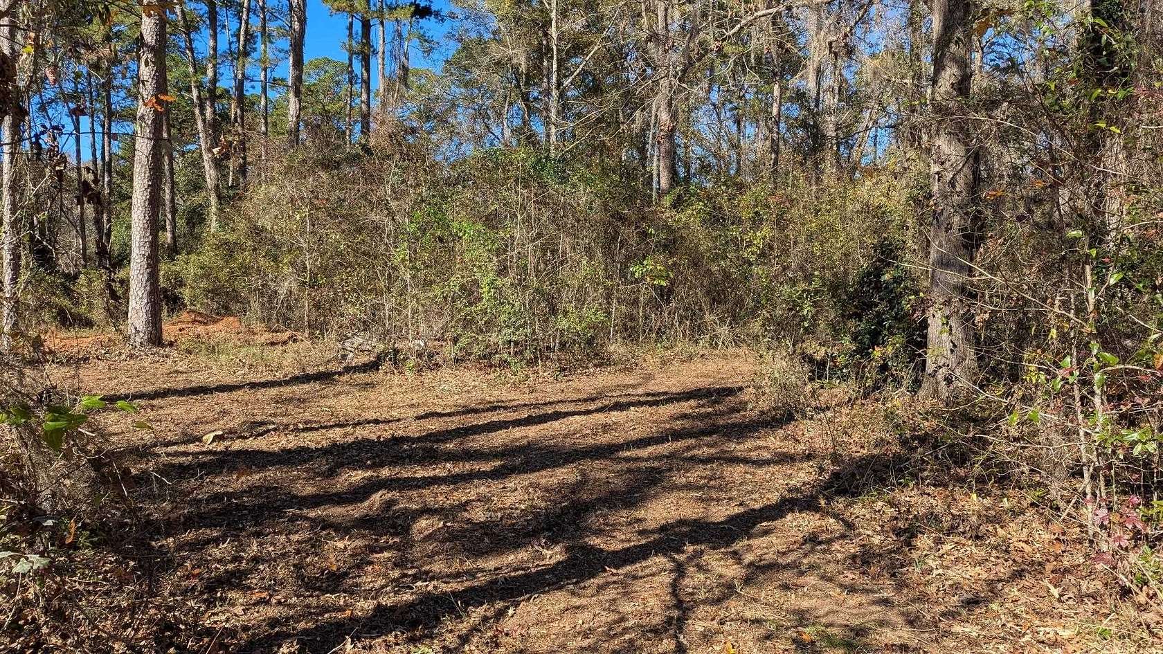 2.23 Acres of Residential Land for Sale in Tallahassee, Florida