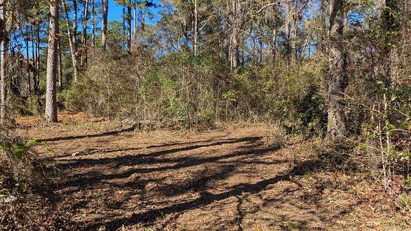 2.23 Acres of Residential Land for Sale in Tallahassee, Florida