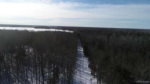 29 Acres of Recreational Land for Sale in Curtis, Michigan - LandSearch