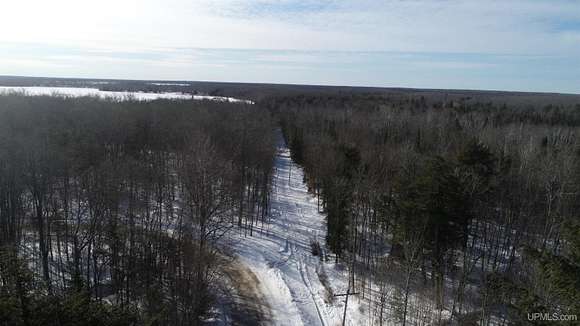 29 Acres of Recreational Land for Sale in Curtis, Michigan - LandSearch