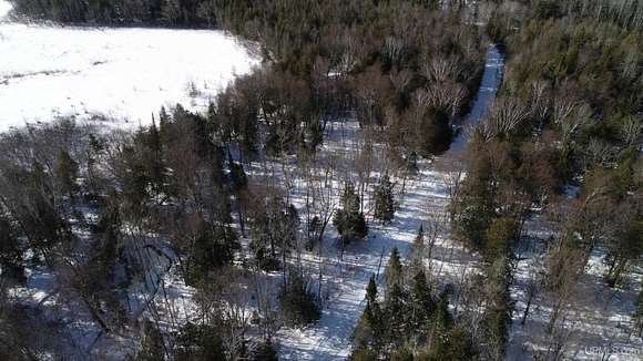 29 Acres of Recreational Land for Sale in Curtis, Michigan - LandSearch