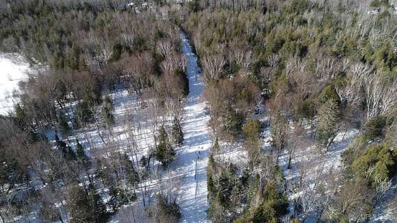 29 Acres of Recreational Land for Sale in Curtis, Michigan - LandSearch