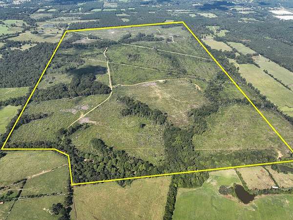 470 Acres of Land for Sale in Timpson, Texas