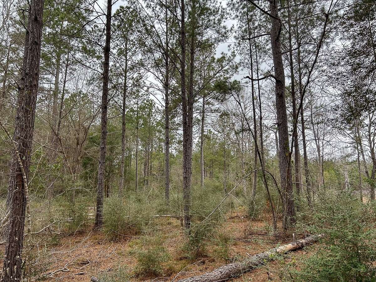 3.75 Acres of Residential Land for Sale in Warren, Texas