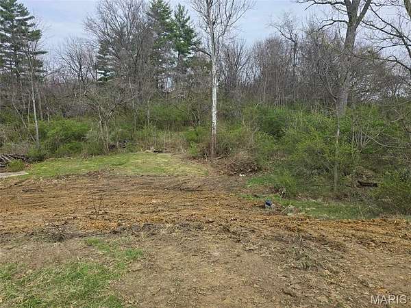 1 Acre of Mixed-Use Land for Sale in Alton, Illinois