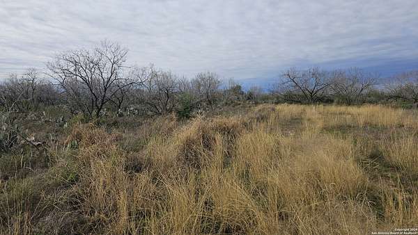 0.5 Acres of Land for Sale in Christine, Texas