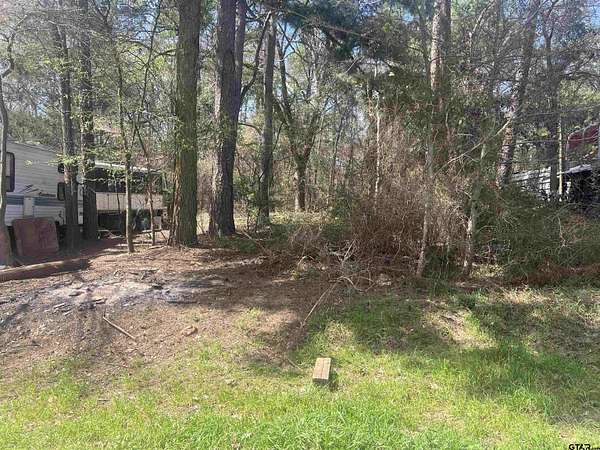 0.1 Acres of Residential Land for Sale in Chandler, Texas