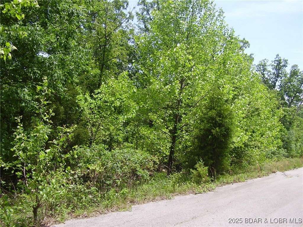0.39 Acres of Residential Land for Sale in Camdenton, Missouri