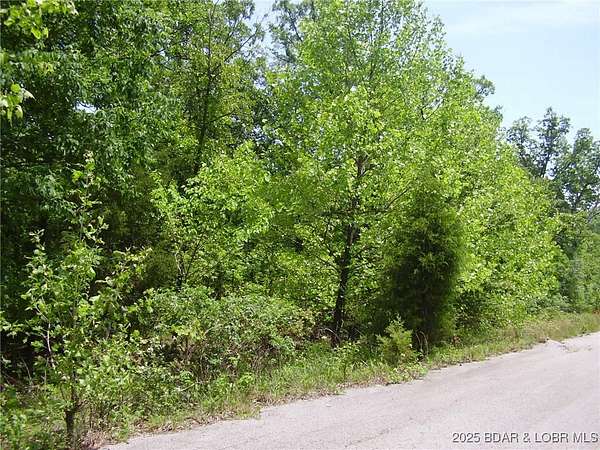 0.39 Acres of Residential Land for Sale in Camdenton, Missouri