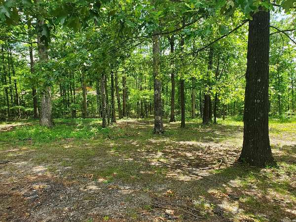 0.38 Acres of Residential Land for Sale in Mena, Arkansas