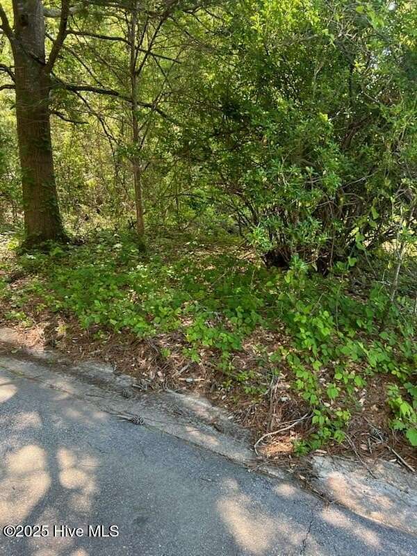 0.26 Acres of Residential Land for Sale in Princeville, North Carolina