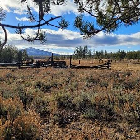 159 Acres of Land for Sale in Susanville, California
