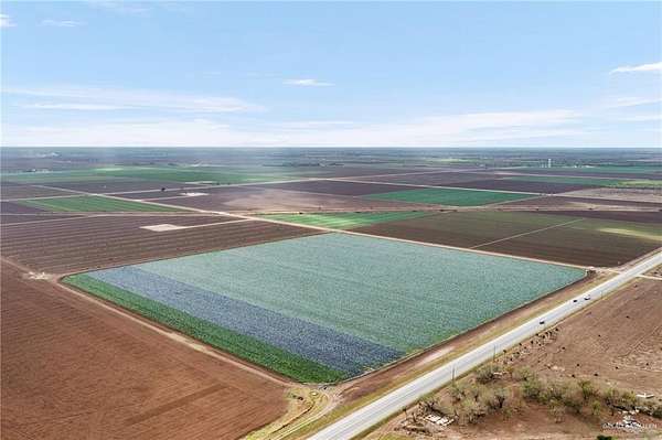 38.2 Acres of Mixed-Use Land for Sale in Alamo, Texas