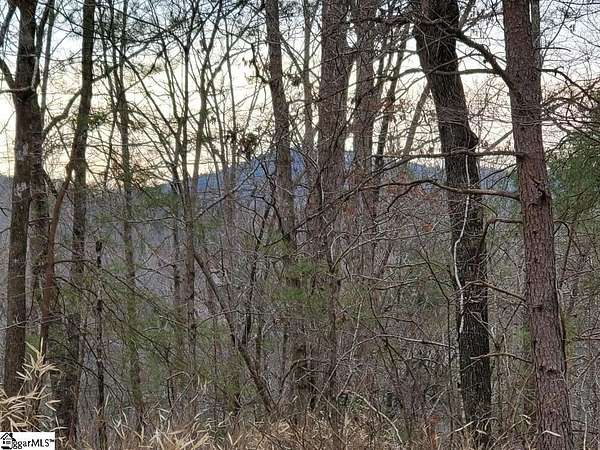 6.72 Acres of Residential Land for Sale in Cleveland, South Carolina