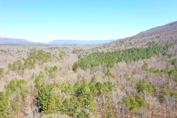 300 Acres of Recreational Land for Sale in Valley Head, Alabama