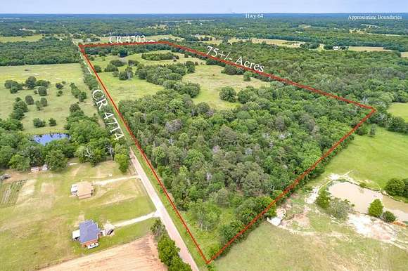 10.1 Acres of Land for Sale in Ben Wheeler, Texas - LandSearch