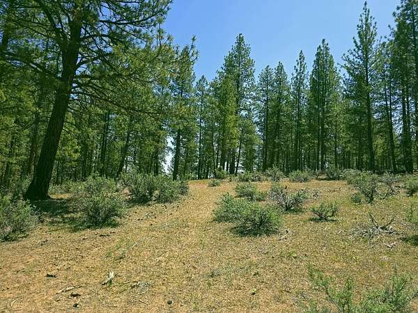 0.99 Acres of Residential Land for Sale in Chiloquin, Oregon