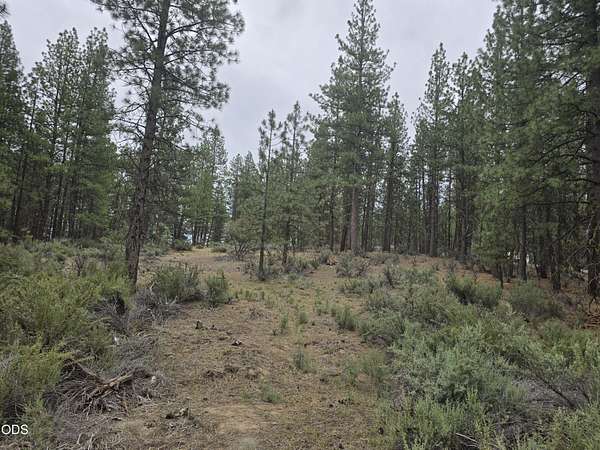 0.99 Acres of Residential Land for Sale in Chiloquin, Oregon