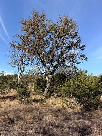 5 Acres of Residential Land for Sale in Kerrville, Texas