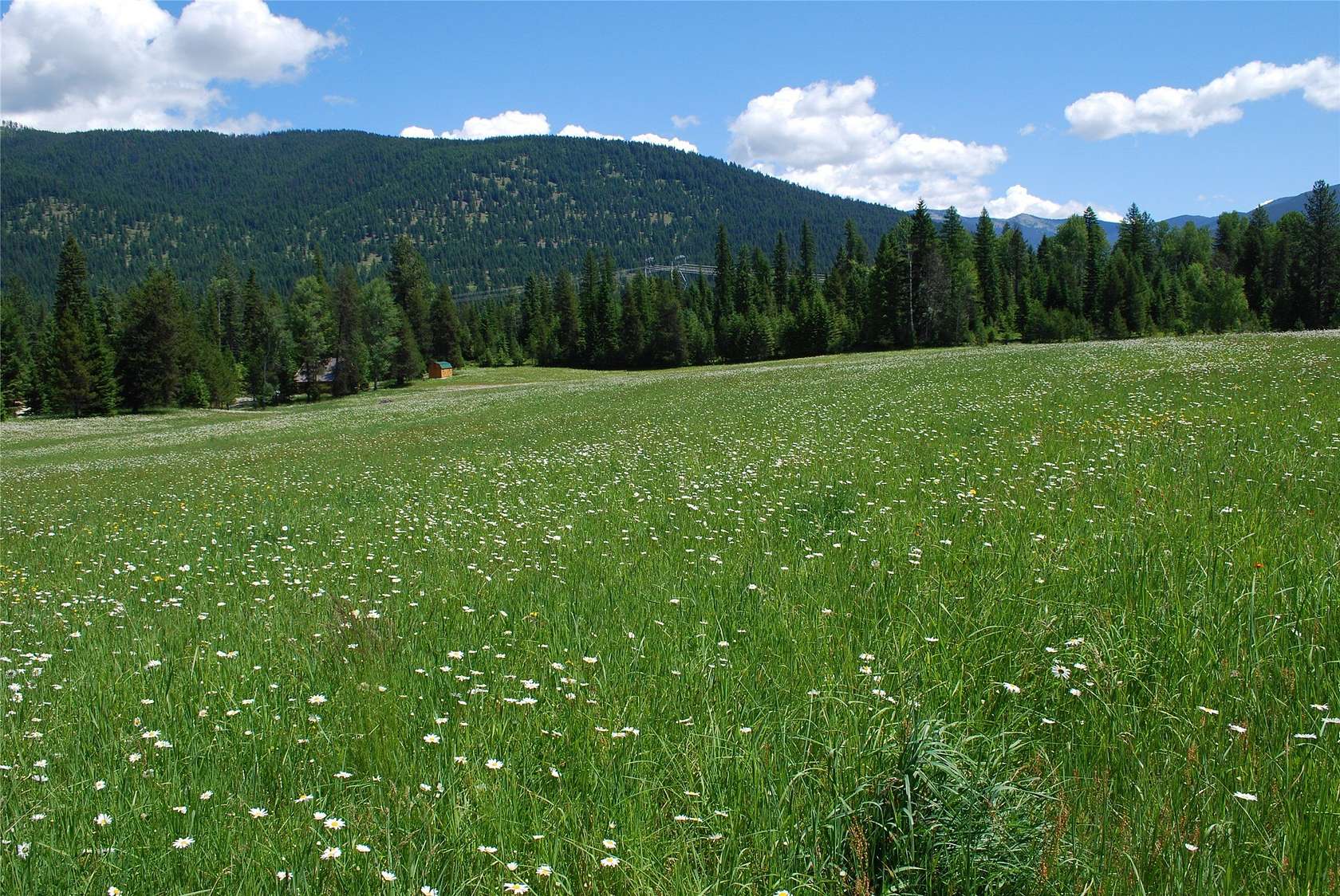 4 Acres of Residential Land for Sale in Trout Creek, Montana