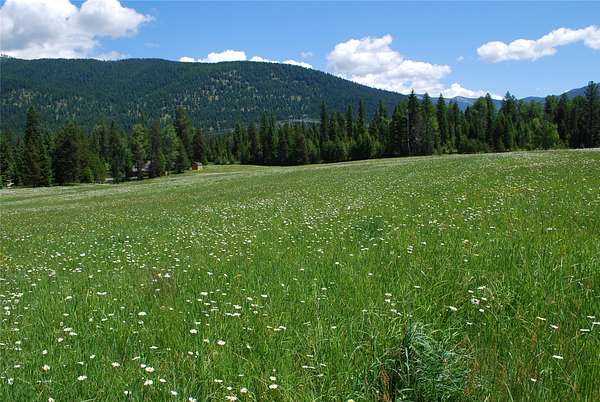 4 Acres of Residential Land for Sale in Trout Creek, Montana
