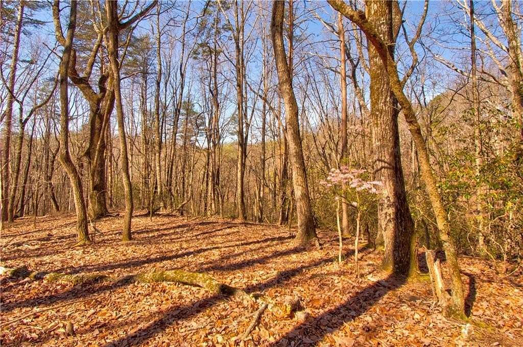 27.7 Acres of Land for Sale in Dahlonega, Georgia