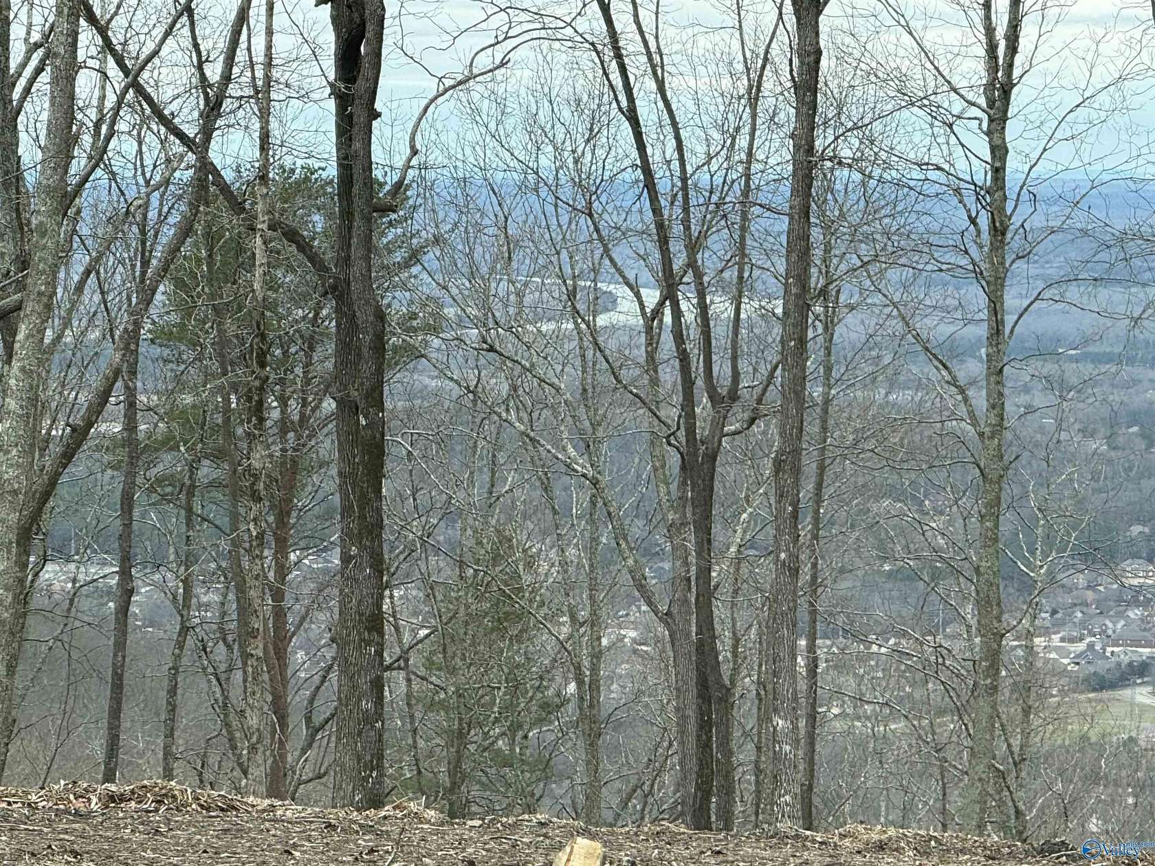 1 Acre of Residential Land for Sale in Huntsville, Alabama