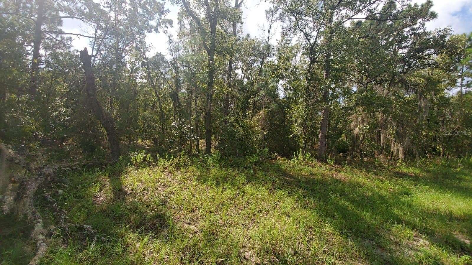 0.24 Acres of Residential Land for Sale in Ocala, Florida