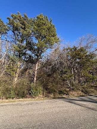 0.69 Acres of Residential Land for Sale in Gordonville, Texas