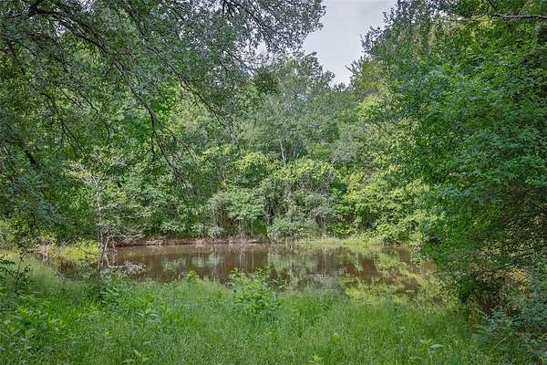 54.5 Acres of Land with Home for Sale in Gainesville, Texas