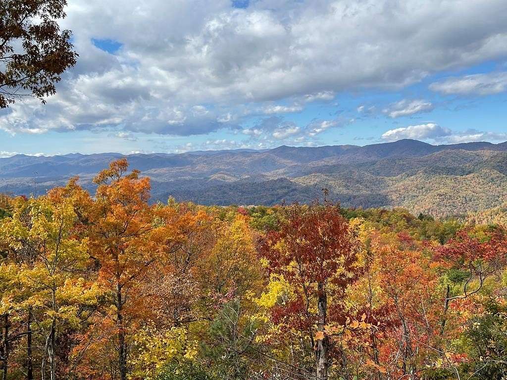 15.4 Acres of Land for Sale in Andrews, North Carolina