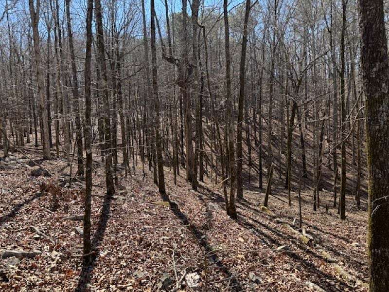 57.9 Acres of Recreational Land for Sale in Shiloh, Georgia