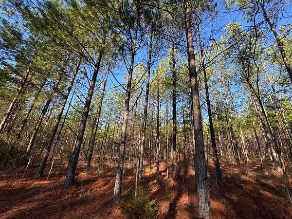 179 Acres of Recreational Land for Sale in Camp Hill, Alabama
