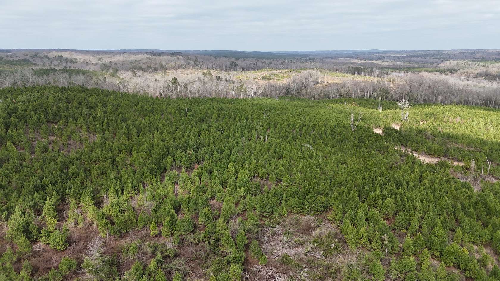 267 Acres of Recreational Land for Sale in Deatsville, Alabama