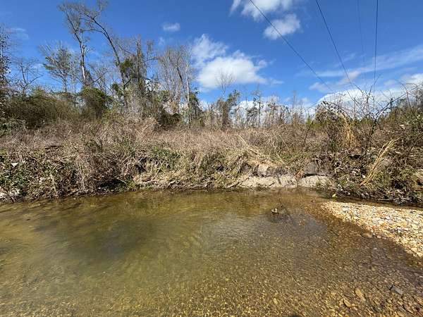 267 Acres of Recreational Land for Sale in Deatsville, Alabama