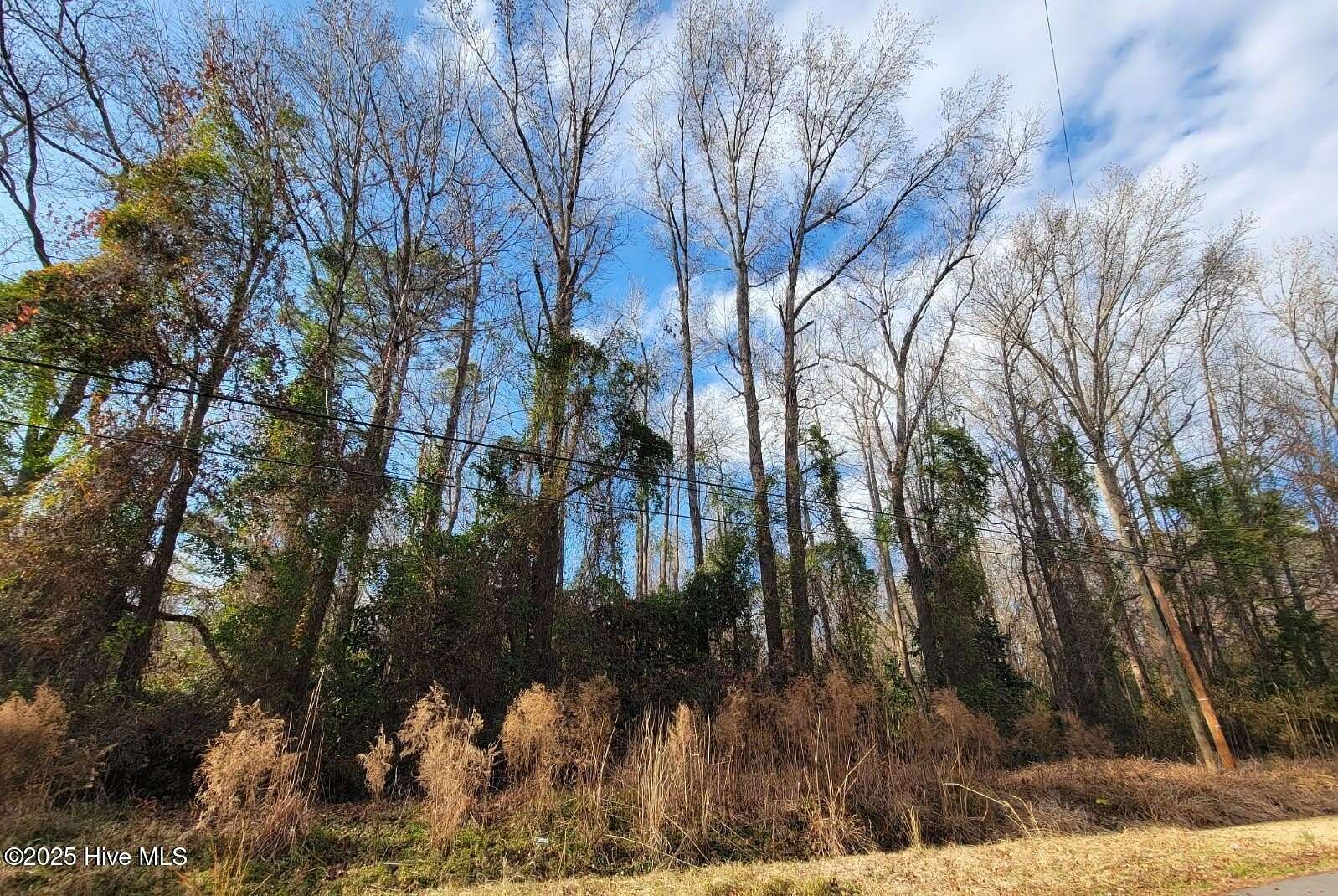 0.49 Acres of Residential Land for Sale in Grifton, North Carolina