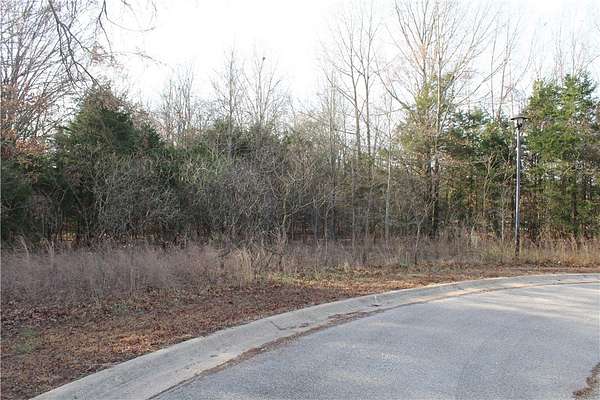 0.3 Acres of Residential Land for Sale in Bull Shoals, Arkansas