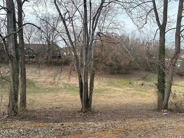 0.57 Acres of Residential Land for Sale in Kingsport, Tennessee