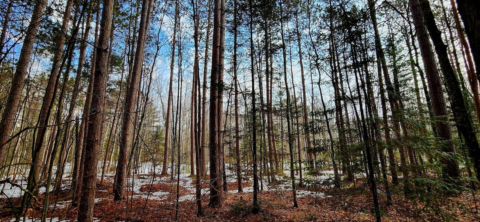 0.35 Acres of Residential Land for Sale in Lac du Flambeau, Wisconsin
