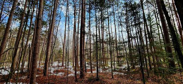 0.35 Acres of Residential Land for Sale in Lac du Flambeau, Wisconsin